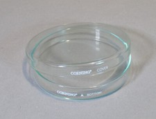 New Corning Glass 100 x 15 mm Petri Dish Top and Bottom # 70165-101