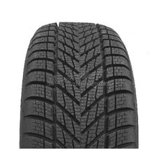 Winterreifen DUNLOP Winter 3PMSF EVc 205/55 R...
