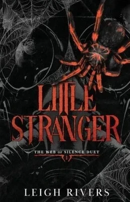 Little Stranger by Leigh Rivers Paperback New book UK