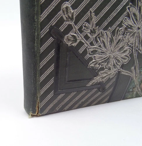 Antikes Jugendstil Album Poesiealbum Freundschaftsalbum  Aachen 1894-1909  - Bild 3 von 12