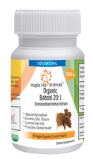ORGANIC Babool 20:1 Extract Capsules Acacia Nilotica Pure High Quality