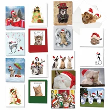 Christmas-Holiday Cats: Funny Assorted Set of 36 Cards w/ Envelopes