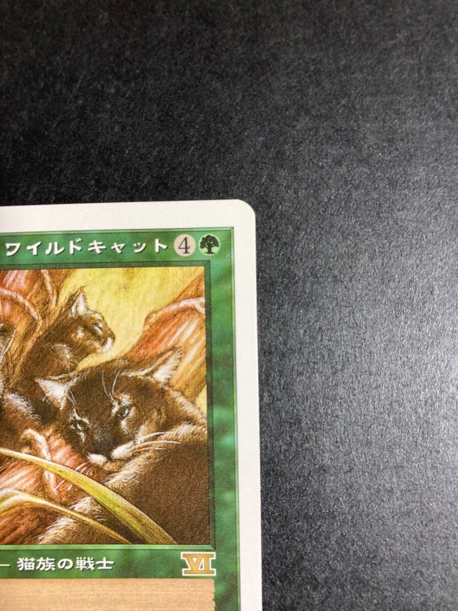 MTG Magic The Gathering Utabby Wildcat Card Games Japanese