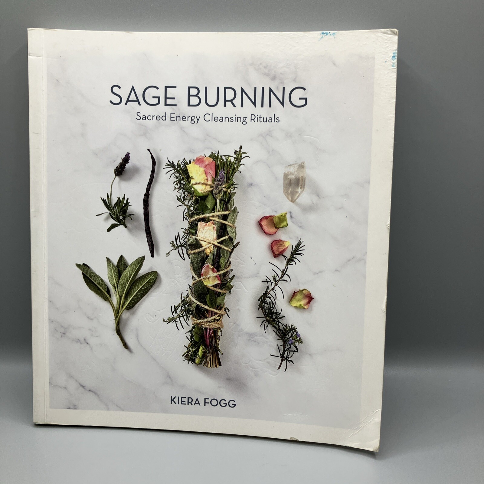 Sage Burning by Kiera Fogg Paperback Book