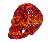 3D Pirate Day of The Dead Skeleton Skull Halloween Sculpture Statue USA