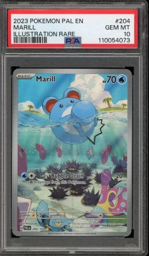 Pokemon Marill Paldea Evolved Illustration Rare #204 PSA 10 Gem Mint