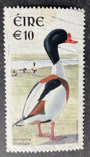 Ireland 2000 €10.00 duck stamp used