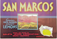 Vintage Original San Marcos Sunkist Lemon Crate Label, Dealers Lot of 100 9 x 12