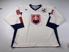 Marcel Hossa #81 Slovakia National Team Ice Hockey Jersey Small Offensive