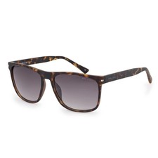 Bloc Luca Polarised Grey Sunglasses Tortoise FP952