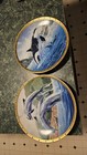 Orea and Bottlenose Dolphins by Jarrett Holderby LENOX Decorative Plates — photo 1