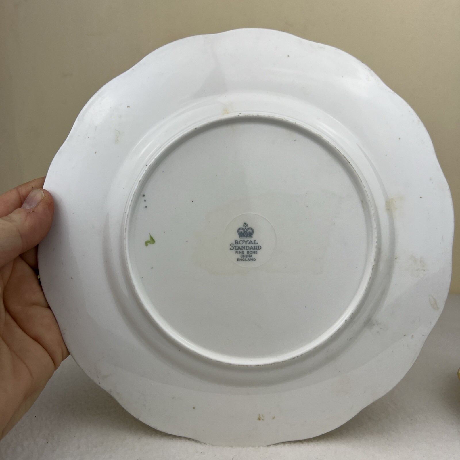 Royal Standard Fine Bone China Sweet Pea Pattern Teacup Saucer And Salad Plate