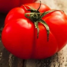 Beefsteak Tomato Seeds | Heirloom Tomato Seeds | Fresh NON-GMO Vegetable Seeds