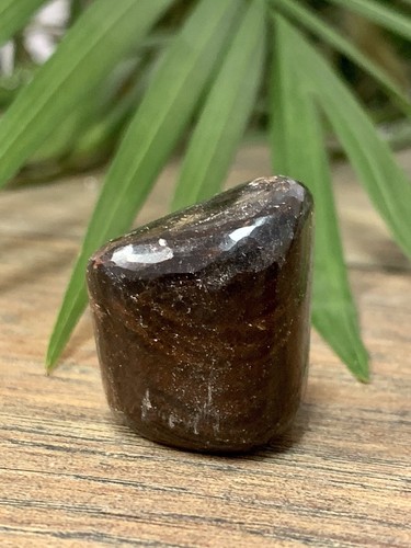 Garnet Tumble Stone Gemstone Mineral Specimen Crystal Therapy Chakra. - Picture 3 of 11