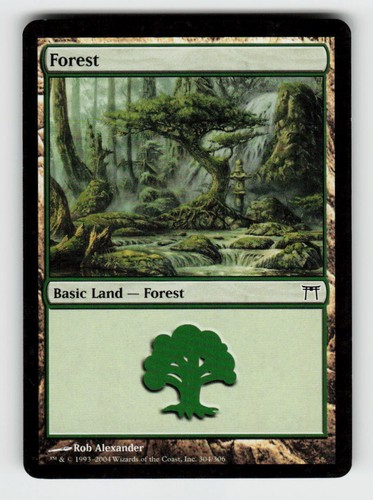 Forest #304 Champions of Kamigawa