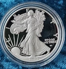 2025 S American Silver Eagle.l - Sold Out! In Hand. OGP
