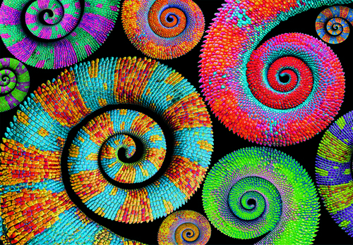 Puzzle (500 T.) Colorboom - RingelschwäNze (Clementoni) Neu/Ovp-image