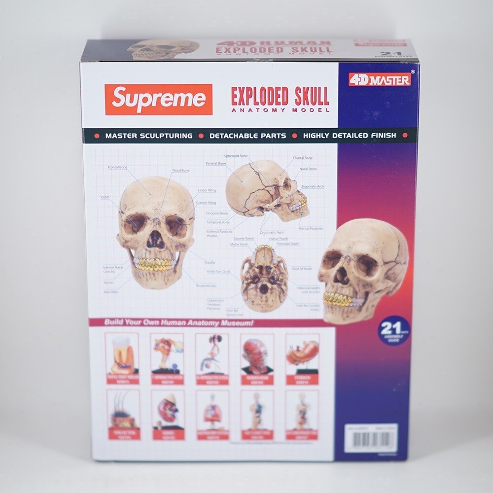 Supreme 4D Model Puzzle Human Skull With Gold Grills FW23 Supreme 4D Model Puzzle Human Skull With Gold Grills FW23