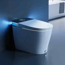 HOROW Bidet Combo Toilet with Mood Light 12 Inch Rough In Built-in Water Tank