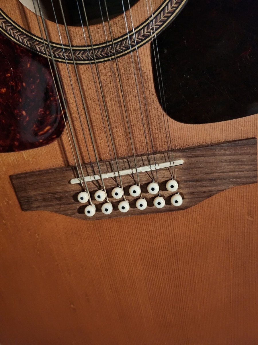 Seagull S-12+CEDAR　12弦　カナダ製　FishmanPU 値下 Coastline Cedar 12 EQ | Seagull Guitars