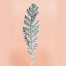 12PCS Real Pressed Dry Leaves, Floral Supply for art craft FSS14