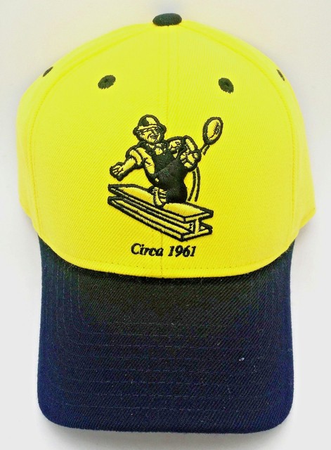 steelers hats ebay
