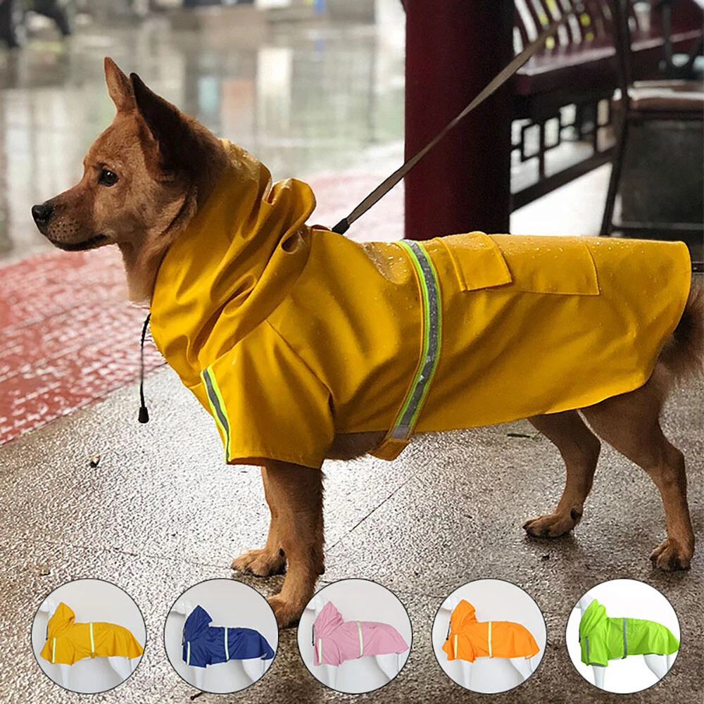 Dog hotsell raincoats uk