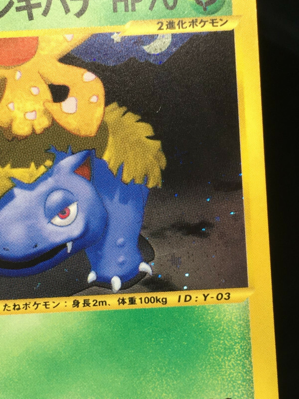 Dark Venusaur 2001 Holo Pokemon Card Web 1st ED Japanese 041