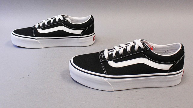 vans ward platform canvas