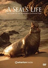 (NEW) DVD A Seal's Life - The Story of the Northern Elephant Seal