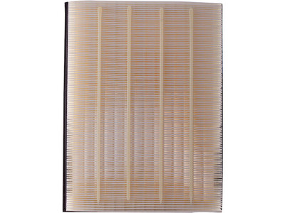 For 2008-2010 Fleetwood Icon Air Filter Premium Guard 76721DPMC 2009 3.0L V6