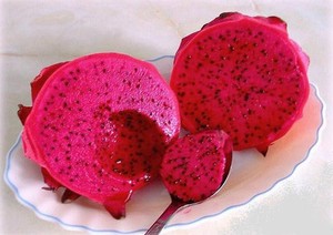 Dragon Fruit Rouge Pitaya Exotic Plant Cactus Hilocereus Undatus Graines 50 Graines Ebay