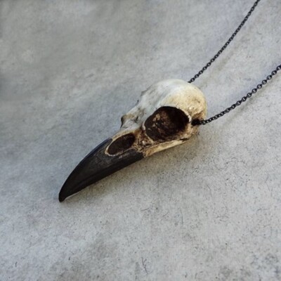 Bone Jewelry Raven Skull Necklace, Viking Pendant Bird Gothic Oddities Jewelry