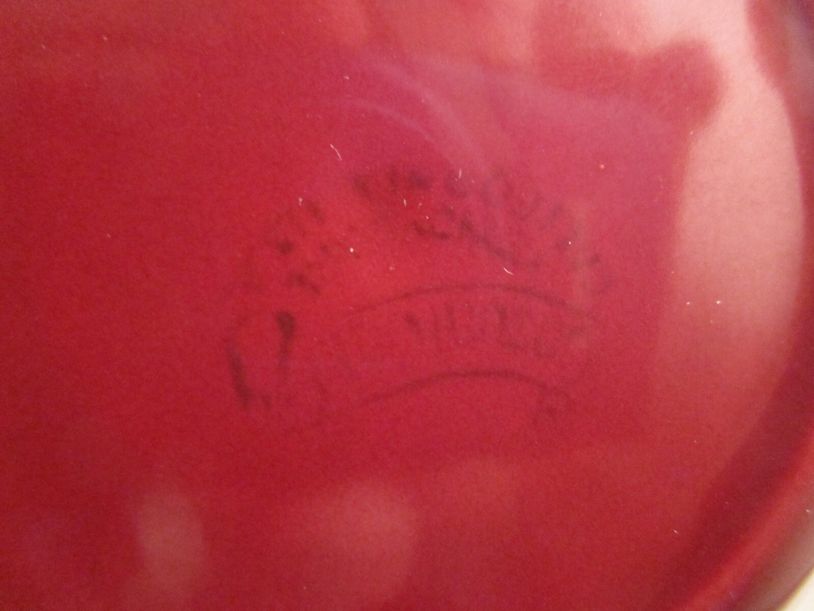 Picture 5 of 5