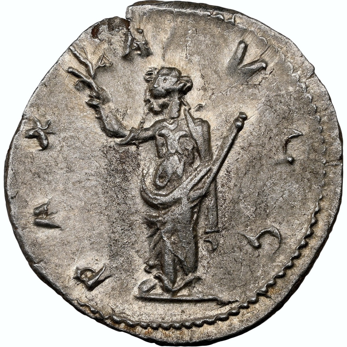 EMPIRE Volusian & Pax Branch Scepter 251AD NGC XF Ancient Silver