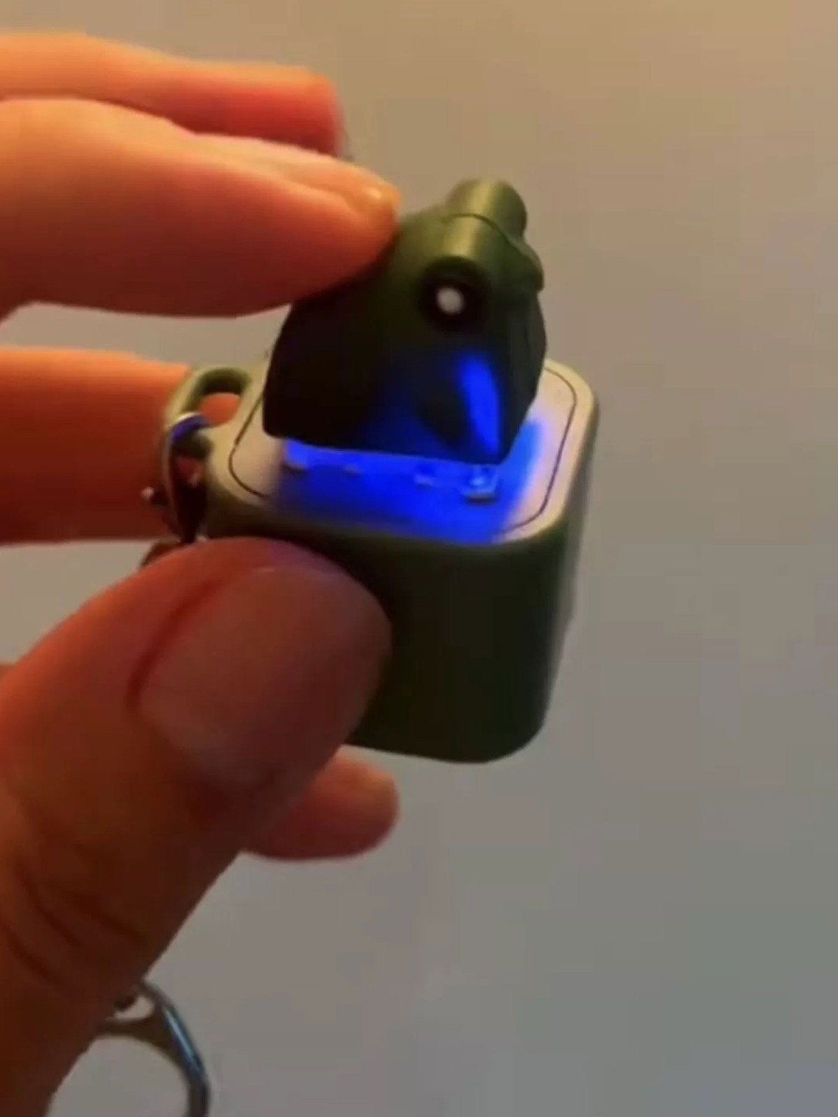 Rechargeable Croaking Frog Keychain Fidget Keychain Adult US