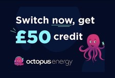 Octopus Energy £50/£100 Referral Voucher, money off gas/electric bill