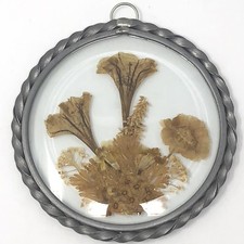 Vtg Pressed Flowers Under Glass 4.5" Round Wall Art Braided Twisted Frame