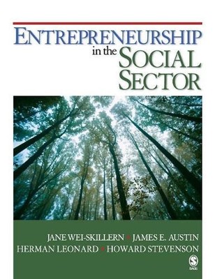 Entrepreneurship in the Social Sector - 9781412951371
