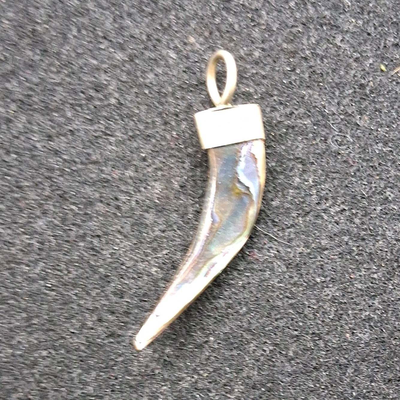 Abalone Horn-Shaped Multicolor Shell Pendant Amul… - image 1