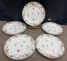 Jean Pouyat "POY22" Pink Roses ~ France ~ Set of 5 ~ Dinner Plates ~ 9 3/4"