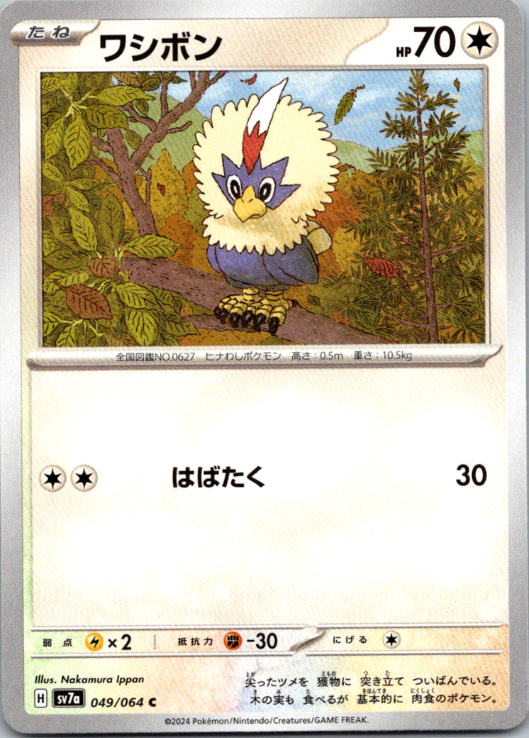 Rufflet Common SV7a: Paradise Dragona 049/064 NM