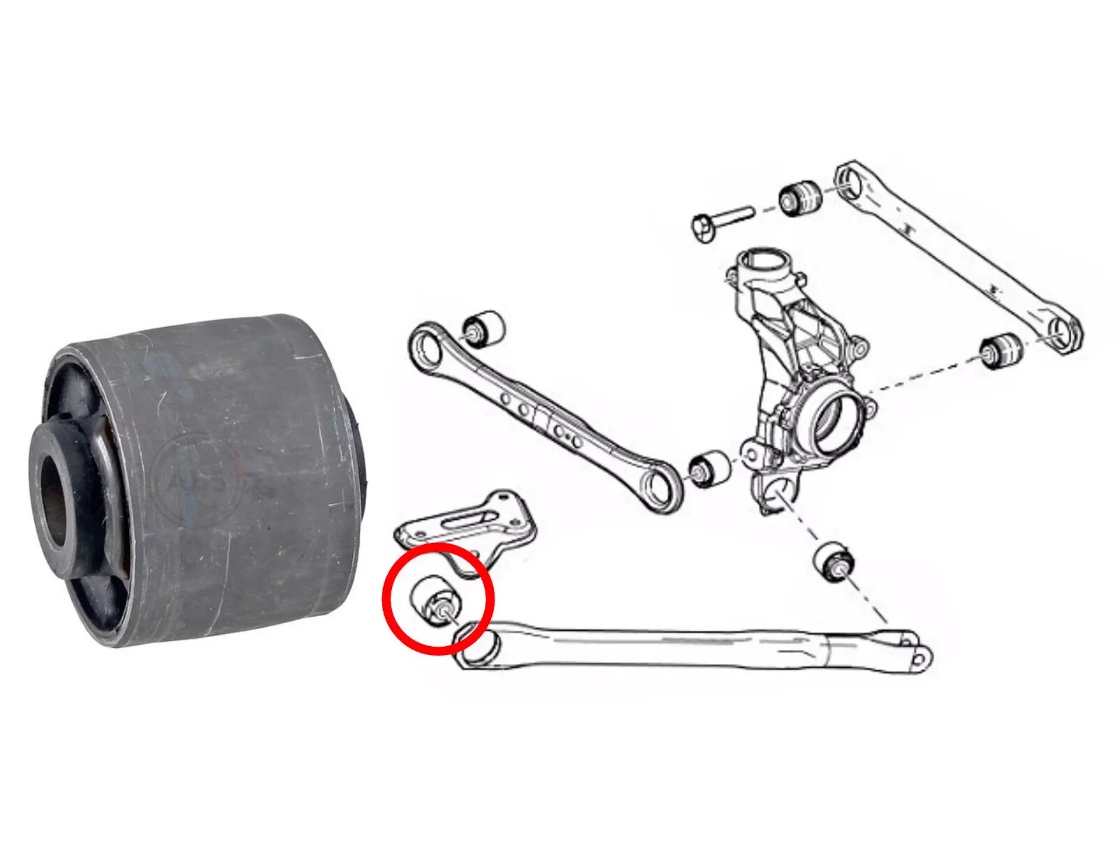 Rear Lower Track Control Arm Bush for Land Rover Freelander 2 Range Rover Evoque