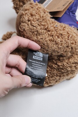 Supreme The North Face Bear Nuptse Split Jacket SS24