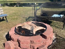 36" Dia. Folding Fire Pit Grill grate w/ Handle for outdoor Campfire BBQ Grill