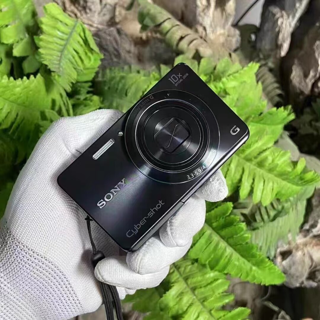 Sony Cyber-shot DSC-W690 16.1MP CCD Vintage Digital Camera - 100