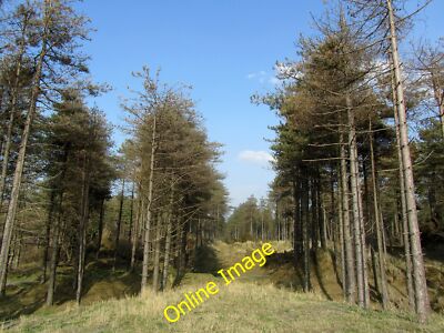 Foto 12x8 Newborough Forest Pen-l\u00f4n Eine Szene gefunden in der Nähe des Hauptwagens c2014