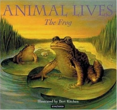 THE FROG (ANIMAL LIVES) By Sally Tagholm & Bert Kitchen - Hardcover *Excellent*