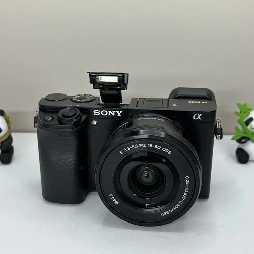 Sony Alpha a6000 24.3MP Mirrorless Digital Camera w/16-50mm OSS Lens English - product listing photo