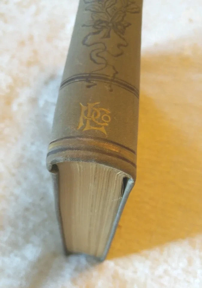 1894 Life of Oliver Wendell Holmes by E E Brown Lovely Ornate Antique Victorian - Image 4 of 4